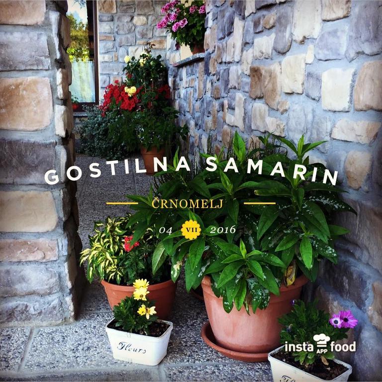 Hotel Samarin Črnomelj Exterior foto